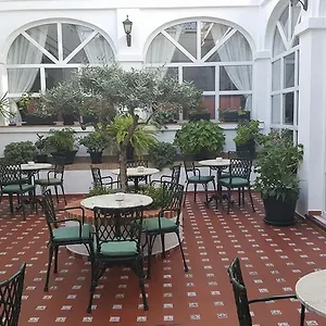 Olivos Arcos de la Frontera